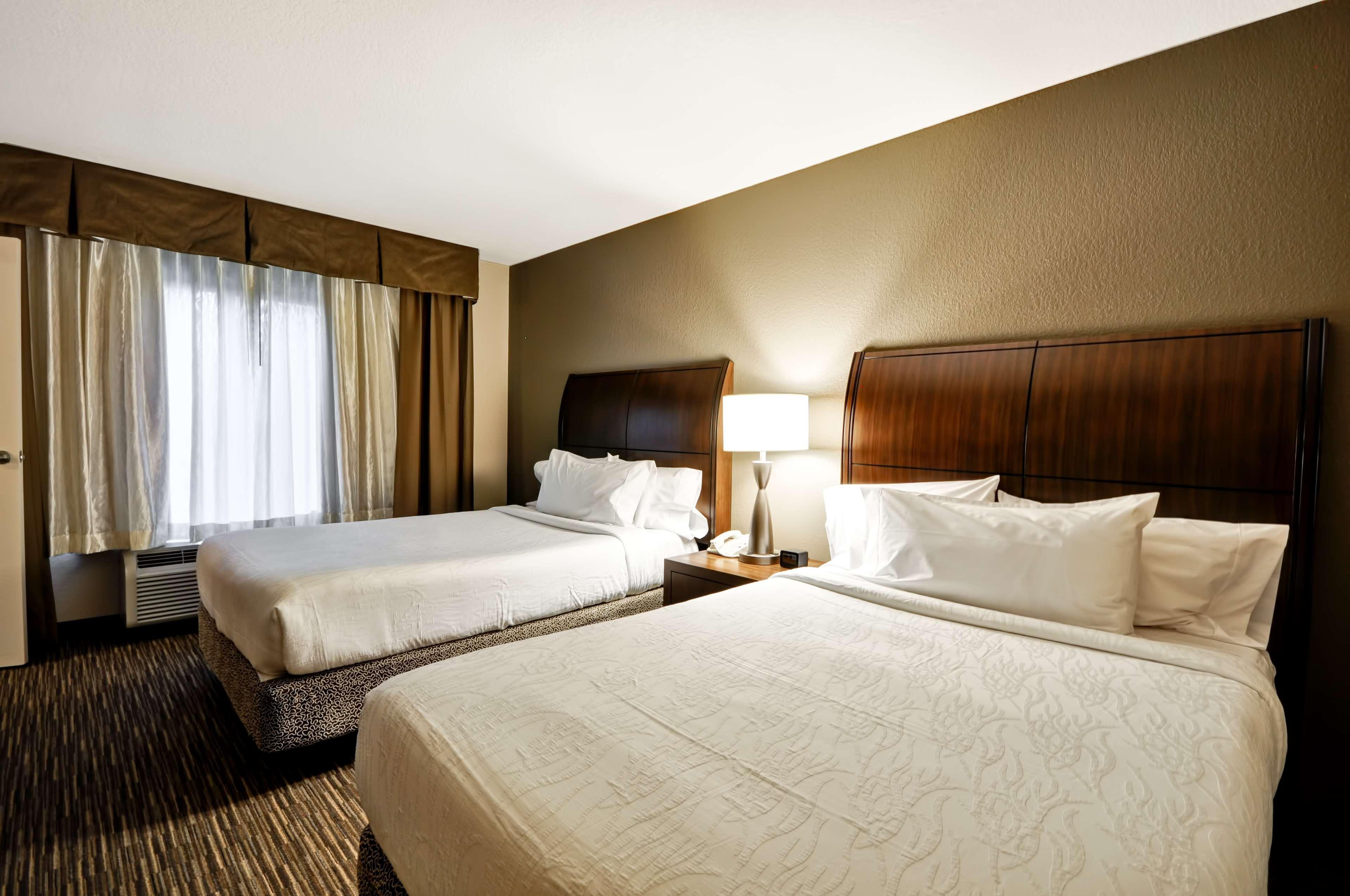 Hilton Garden Inn Tampa North Temple Terrace Εξωτερικό φωτογραφία