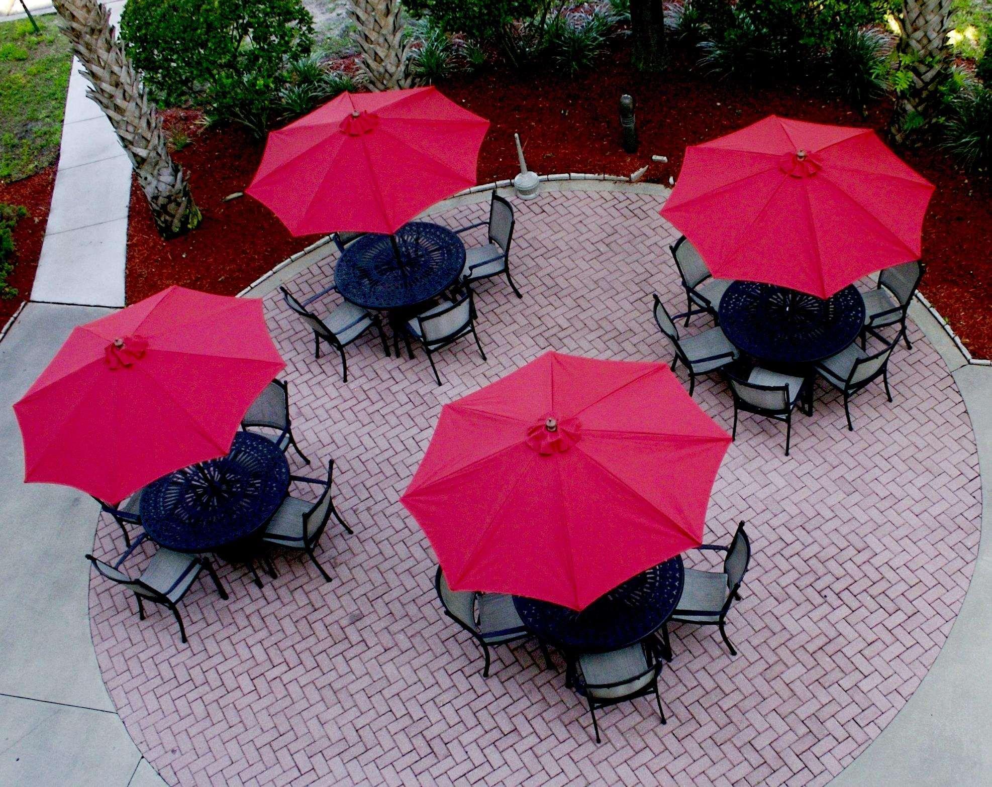 Hilton Garden Inn Tampa North Temple Terrace Εστιατόριο φωτογραφία
