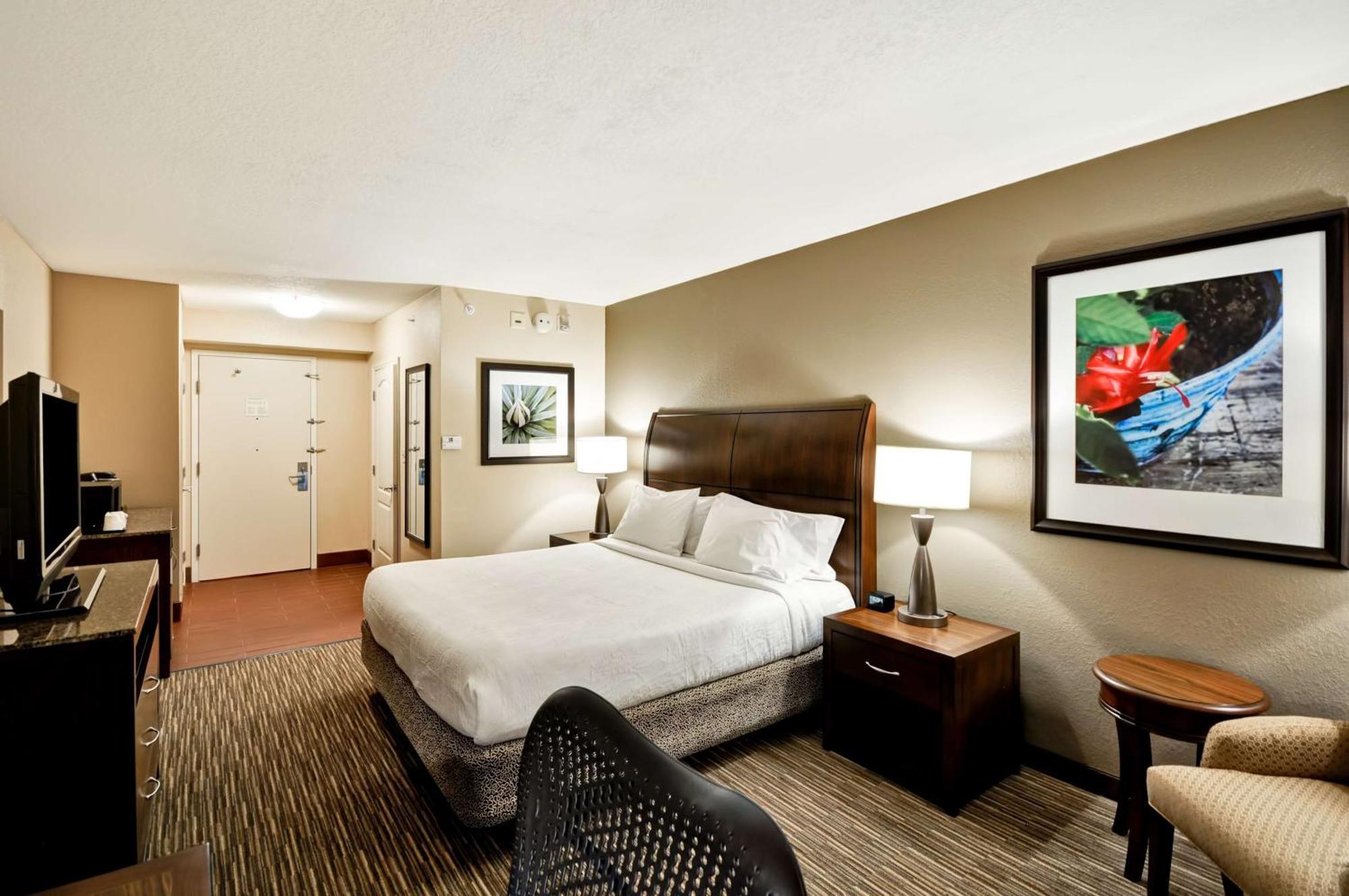 Hilton Garden Inn Tampa North Temple Terrace Εξωτερικό φωτογραφία
